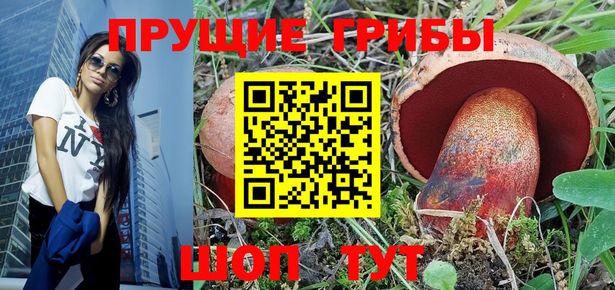Псилоцибиновые грибы Psilocybe  наркота  Вход с VPN  Нерюнгри  Галлюциногенные грибы мицелий 